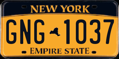 NY license plate GNG1037