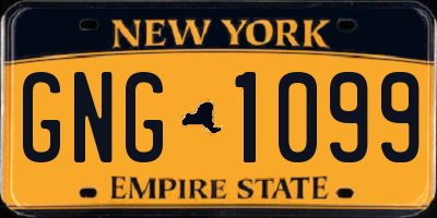 NY license plate GNG1099