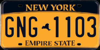 NY license plate GNG1103