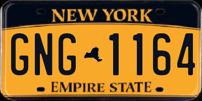 NY license plate GNG1164