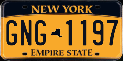 NY license plate GNG1197
