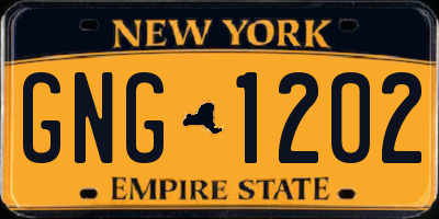 NY license plate GNG1202