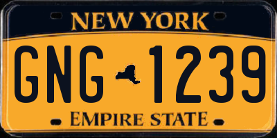 NY license plate GNG1239