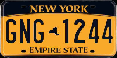 NY license plate GNG1244