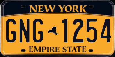 NY license plate GNG1254