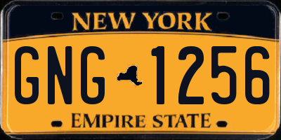NY license plate GNG1256