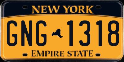NY license plate GNG1318