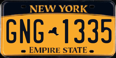 NY license plate GNG1335
