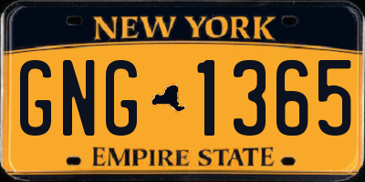 NY license plate GNG1365