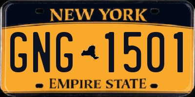 NY license plate GNG1501