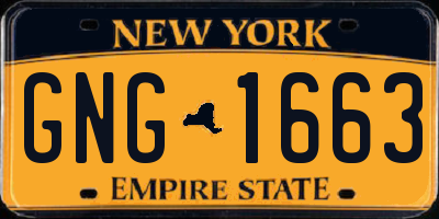 NY license plate GNG1663