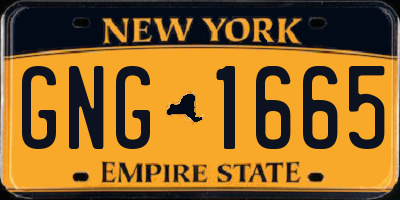 NY license plate GNG1665