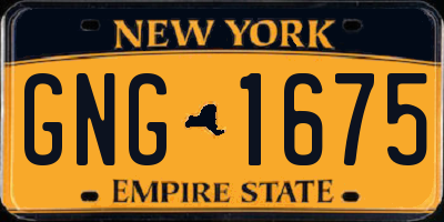 NY license plate GNG1675
