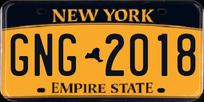 NY license plate GNG2018
