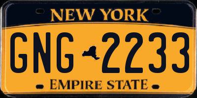 NY license plate GNG2233