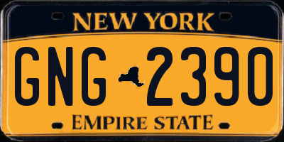 NY license plate GNG2390