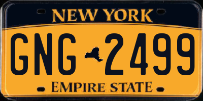 NY license plate GNG2499