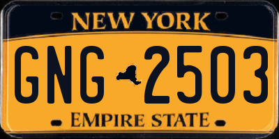 NY license plate GNG2503