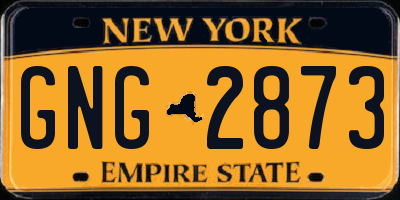NY license plate GNG2873