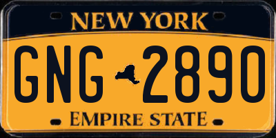 NY license plate GNG2890