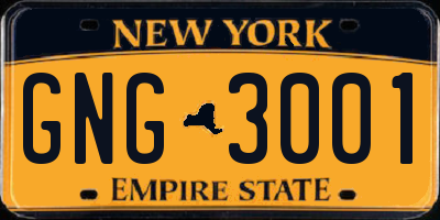 NY license plate GNG3001