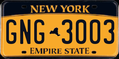 NY license plate GNG3003