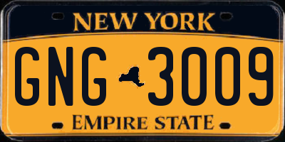 NY license plate GNG3009