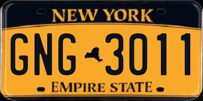 NY license plate GNG3011