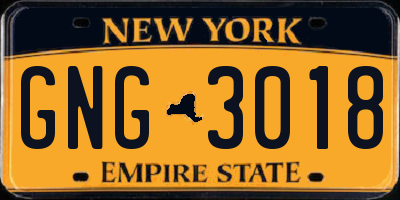 NY license plate GNG3018