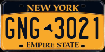 NY license plate GNG3021