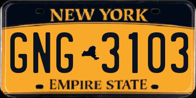 NY license plate GNG3103