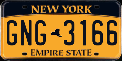 NY license plate GNG3166