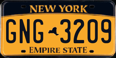 NY license plate GNG3209