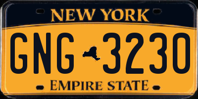 NY license plate GNG3230