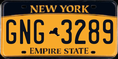 NY license plate GNG3289