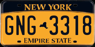 NY license plate GNG3318