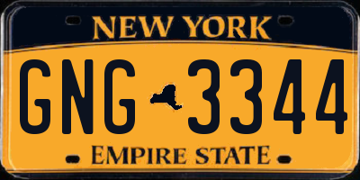 NY license plate GNG3344