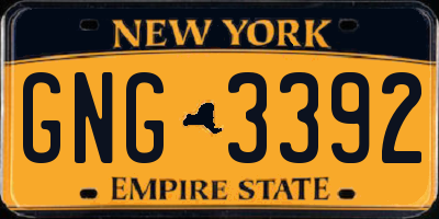 NY license plate GNG3392