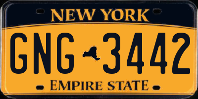 NY license plate GNG3442