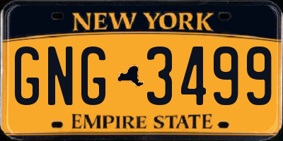NY license plate GNG3499