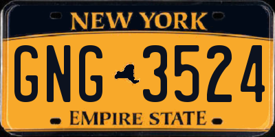NY license plate GNG3524