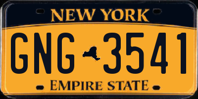 NY license plate GNG3541