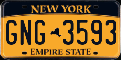 NY license plate GNG3593