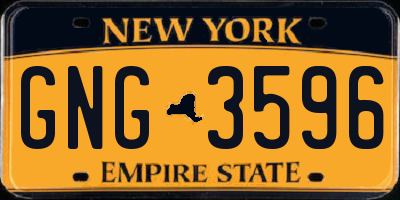 NY license plate GNG3596