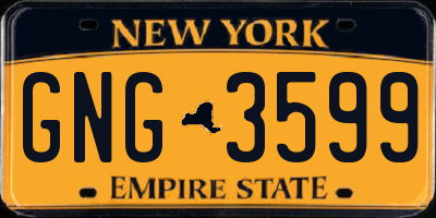 NY license plate GNG3599
