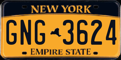NY license plate GNG3624