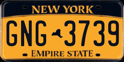 NY license plate GNG3739