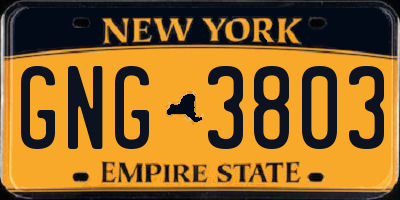 NY license plate GNG3803