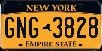 NY license plate GNG3828
