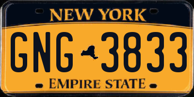 NY license plate GNG3833